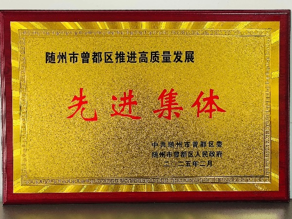 湖北華威公司榮獲曾都區(qū)2024年度“高質(zhì)量發(fā)展先進(jìn)集體”獎(jiǎng)